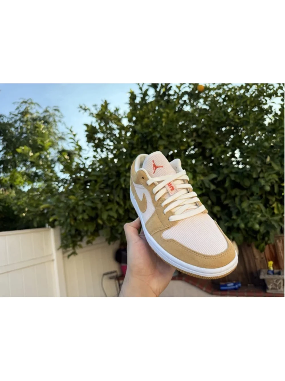 Air Jordan 1- Corduroy DH7820700